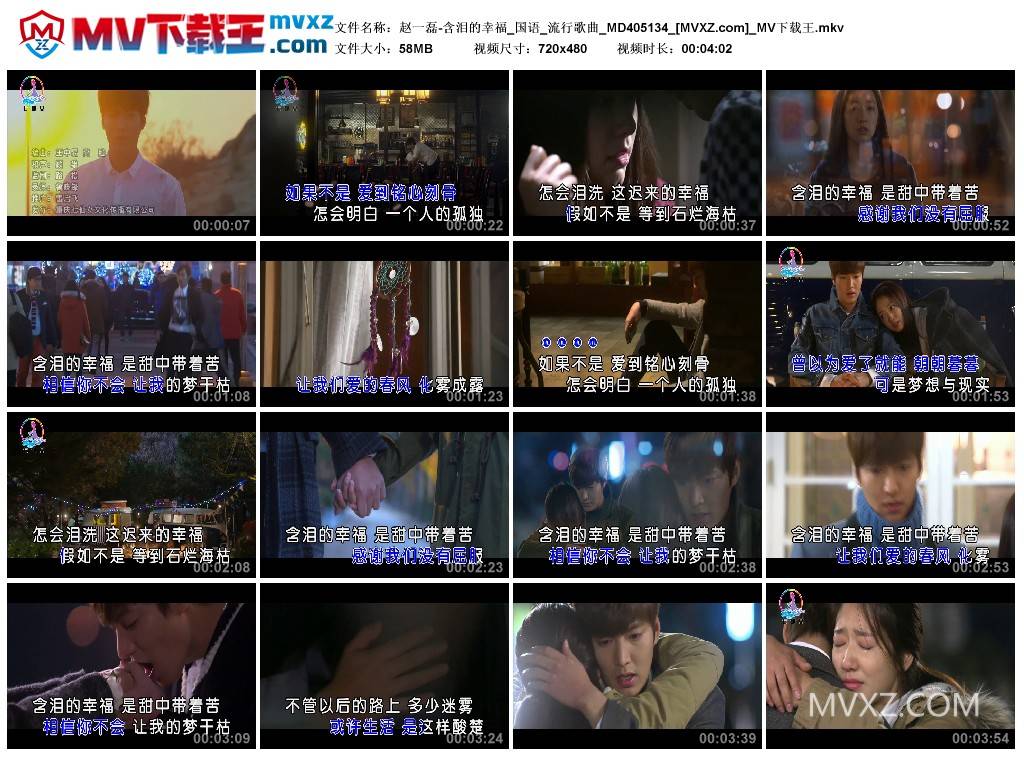 赵一磊-含泪的幸福_国语_流行歌曲_MD405134
